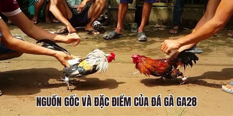 Đá Gà GA28